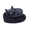 Malpuss Dreams Cats New Arrivals