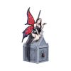 Aracnafaria Box Fairies New Arrivals