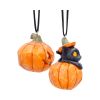 Pumpkin and Patch Hanging Ornaments (Set of 2) Cats Spooky Season
