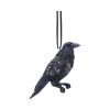 Last Omen Hanging Ornament Ravens New Arrivals