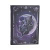 Malpuss Journal 17cm Cats New Arrivals