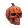 Hall of Horrors: The Spirit of Halloween Skulls Spooky Season