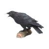 Raven's Call 20cm Ravens Every Day Is Halloween