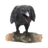 Raven's Call 20cm Ravens Every Day Is Halloween