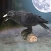 Raven's Call 20cm Ravens Every Day Is Halloween