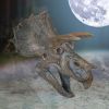 Triceratops Head 23cm Dinosaurs Father's Day