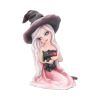 Rosa 15cm Witches Verkaufte Artikel