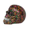 Viva! 19cm Skulls Verkaufte Artikel