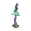 Foolish Fizzy Whizz 24cm Nicht spezifiziert Gifts Under £100