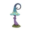 Foolish Fizzy Whizz 24cm Nicht spezifiziert Gifts Under £100