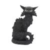 Salem 32.5cm Cats Every Day Is Halloween