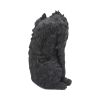Spite 25.5cm Cats Top 200 None Licensed