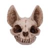 Bastet's Secret 15cm Animal Skulls Halloween RRP Above 20