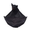 Winged Watcher 24.1cm Bats Every Day Is Halloween