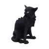 Salem (Small) 19.6cm Cats Halloween RRP Above 20