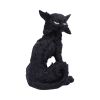 Salem (Small) 19.6cm Cats Halloween RRP Above 20