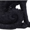 Salem (Small) 19.6cm Cats Halloween RRP Above 20