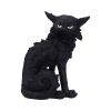 Salem (Small) 19.6cm Cats Halloween RRP Above 20