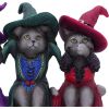 Three Wise Witchy Kittys 15.3cm Cats Verkaufte Artikel