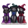 Three Wise Witchy Kittys 15.3cm Cats Verkaufte Artikel