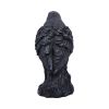 Raven Messenger 25cm Ravens Every Day Is Halloween