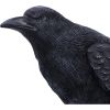 Raven Messenger 25cm Ravens Every Day Is Halloween