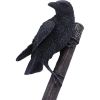 Hammer of the Gods 23cm History and Mythology Top 200 None Licensed