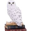 Library of Wisdom 17cm Owls Coming Soon Products