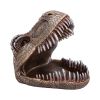 Tyrannosaurus Rex Dish 24cm Dinosaurs NEMESIS NOW | EASTER SALE