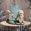 Amelia 6cm Fairies Enchantment Fairies