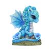 Blue Poppy Flower Dragon 11cm Dragons Flower Dragons