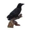 Ravens Perch 20cm Ravens Out Of Stock