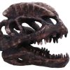 Dilophosaurus Skull 16cm Dinosaurs Top 200 None Licensed