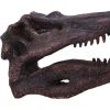 Spinosaurus Skull 16cm Dinosaurs Father's Day