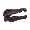 Spinosaurus Skull 16cm Dinosaurs Father's Day