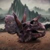 Triceratops Skull 14.5cm Dinosaurs Top 200 None Licensed