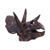 Triceratops Skull 14.5cm Dinosaurs Top 200 None Licensed
