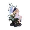 Kiss of Fate Fairies Gifts Under £200