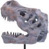Tyrannosaurus Rex Skull on Plinth Dinosaurs Father's Day