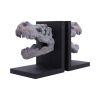 Tyrannosaurus Rex Skull Bookends Dinosaurs Father's Day