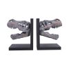 Tyrannosaurus Rex Skull Bookends Dinosaurs Father's Day
