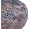 Tyrannosaurus Rex Egg Dinosaurs Father's Day