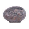 Tyrannosaurus Rex Egg Dinosaurs Father's Day
