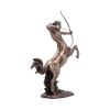 Centaur History and Mythology New Arrivals