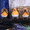 Three Wise Robins 8cm Animals Best Sellers