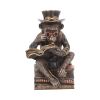 Chimpanzee Scholar 19.5cm Apes & Primates Gifts Under £100