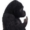 Gone Wild 15.5cm Apes & Primates Gifts Under £100