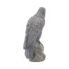 Ravens Rest 16cm Ravens Gifts Under £100