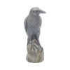 Ravens Rest 16cm Ravens Gifts Under £100