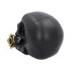 Black Rose from the Dead 15cm Skulls Statues Medium (15cm to 30cm)